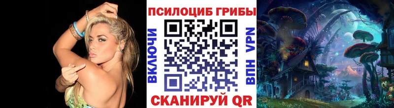 Псилоцибиновые грибы Cubensis Сокол